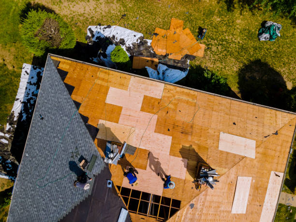 Best Metal Roofing Contractor  in Aho Falls, ID