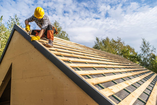Best Roof Gutter Cleaning  in Aho Falls, ID